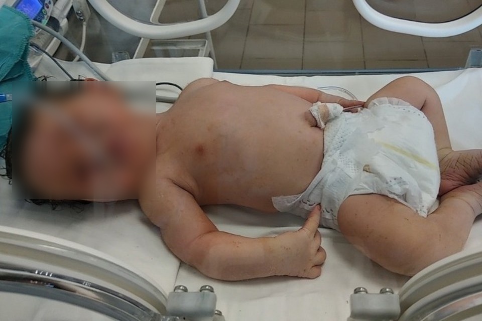 Фото: из открытых источников