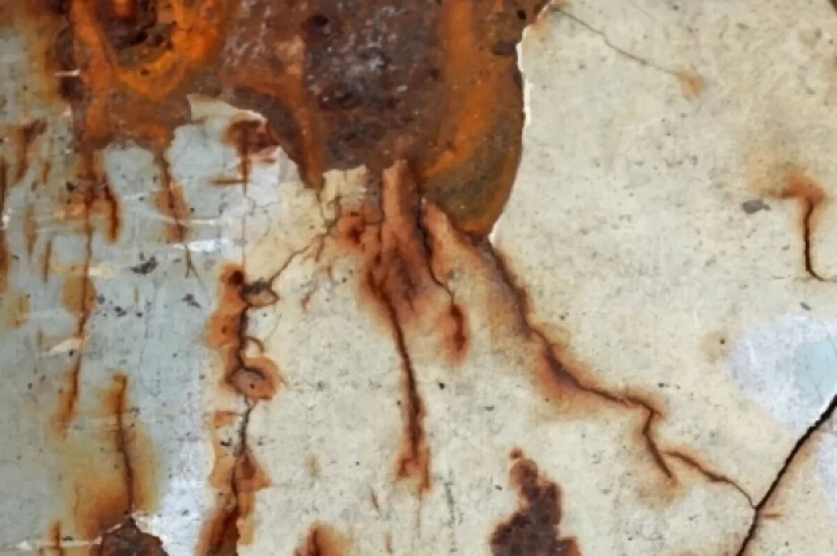    «Автомобиль года» и «Росгосстрах» расскажут, какие машины ржавеют быстрее