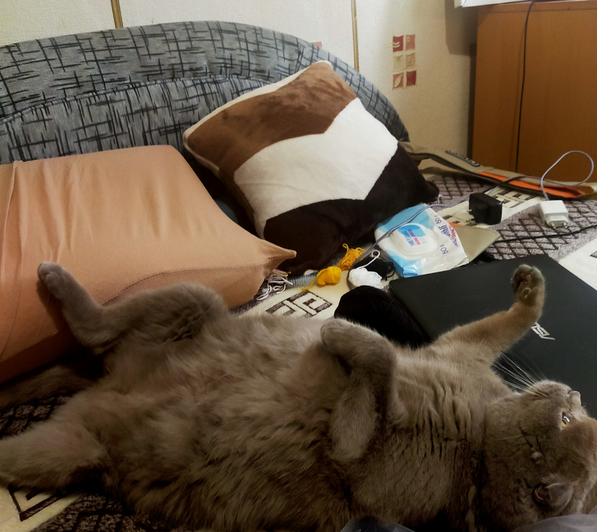 Фото автора.