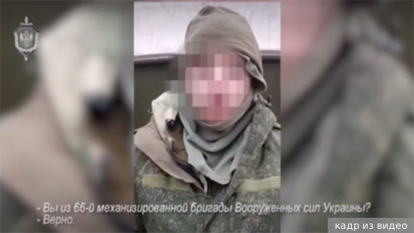     Фото: кадр из видео   
 Текст: Алексей Дегтярев