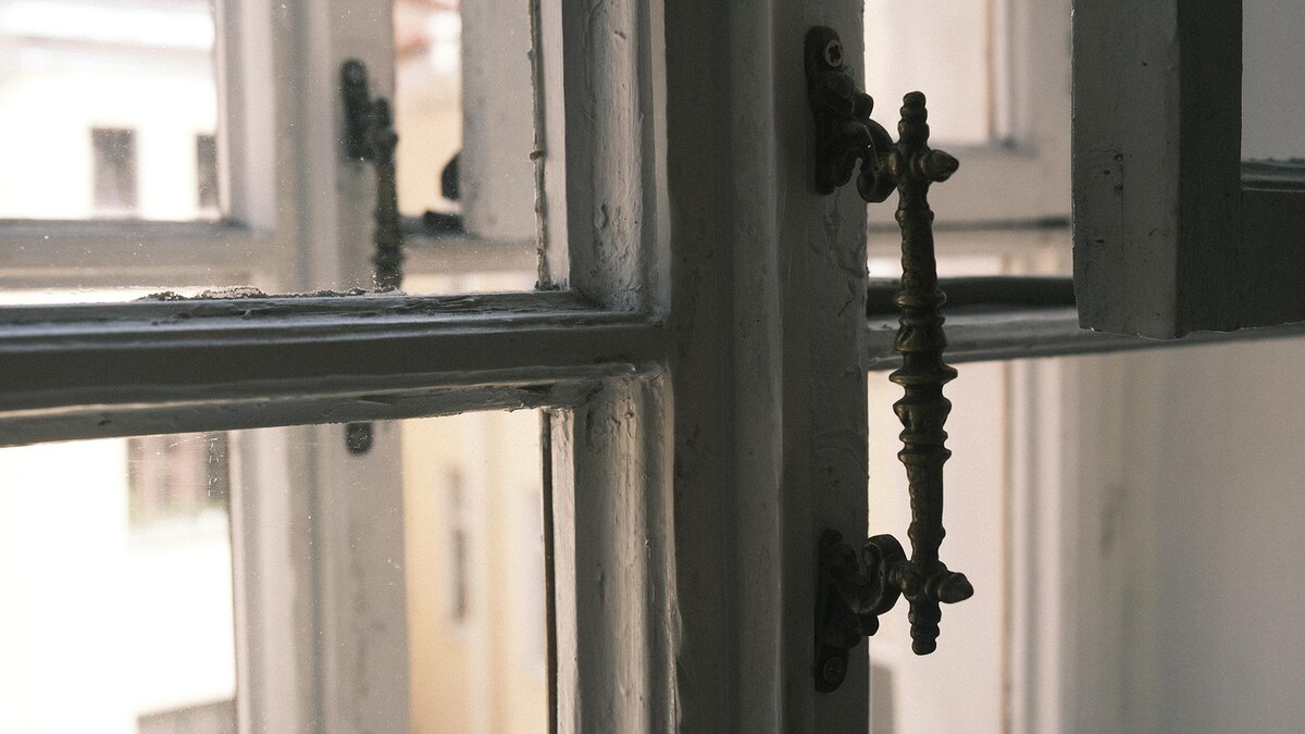    Фото: unsplash.com