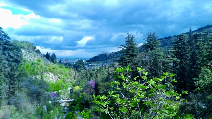 Ботанический сад Тбилиси. Грузия.