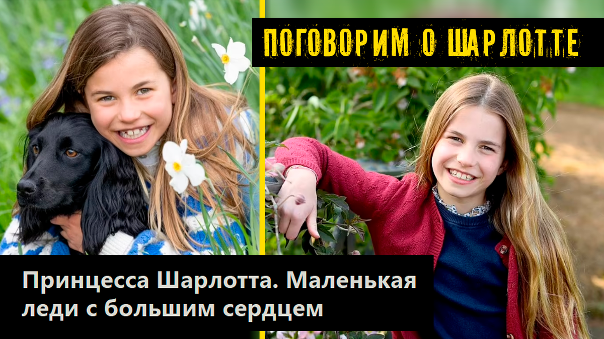 Коллаж автора