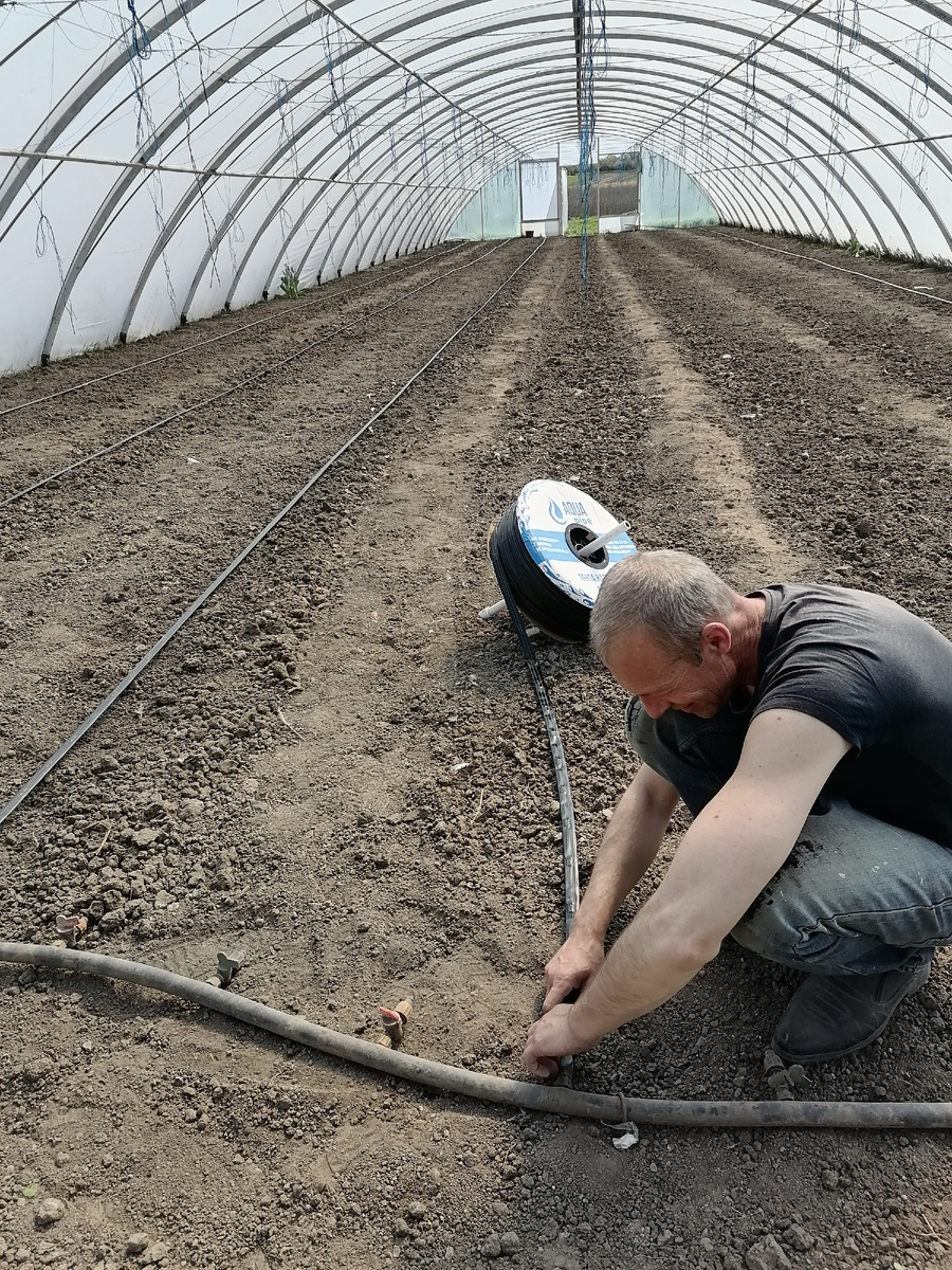 Прикрепляем капельные шланги.