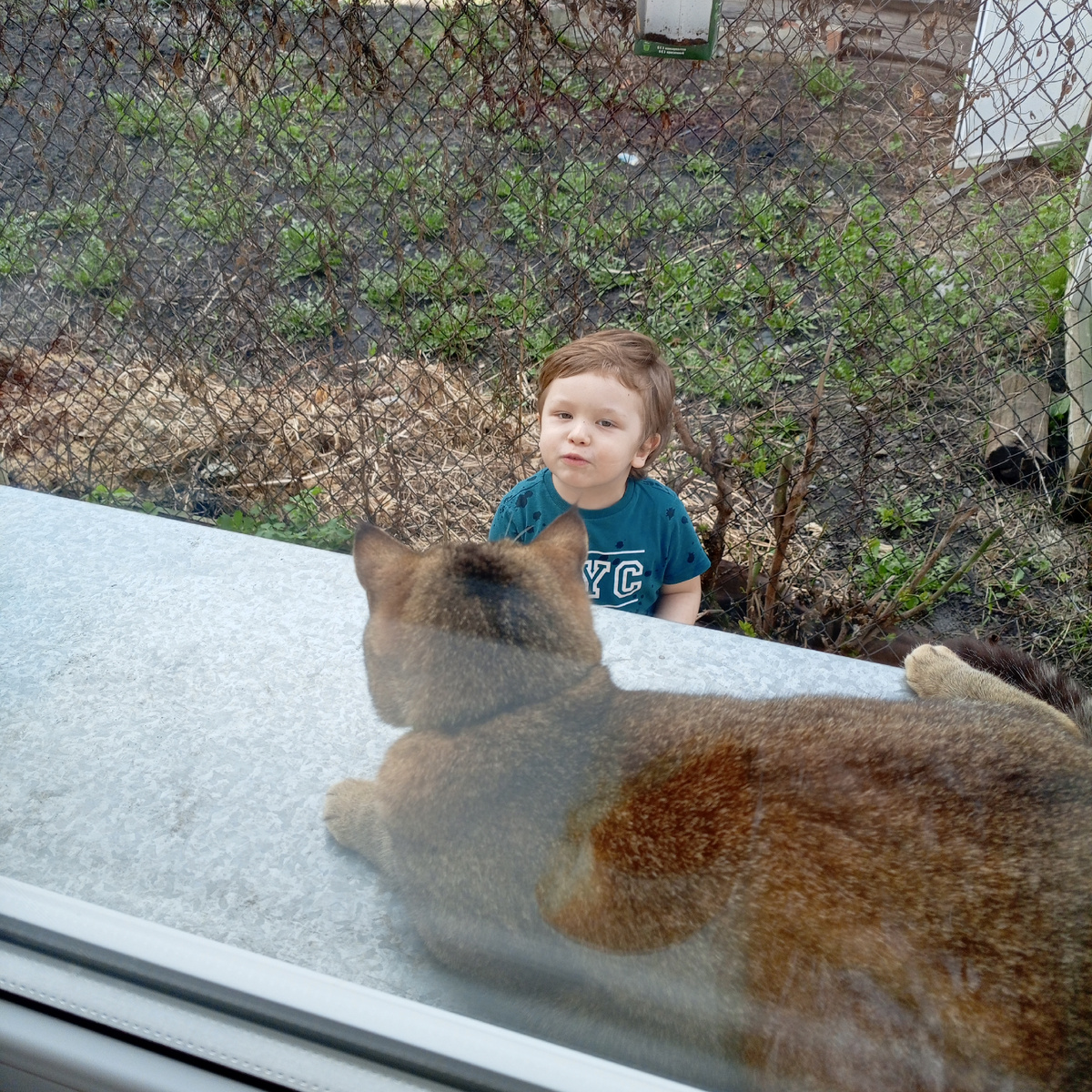 18 апреля 2025 года