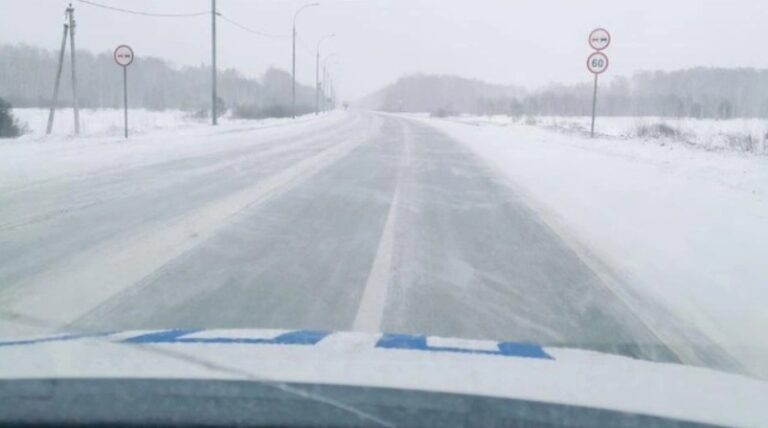    Фото: Госавтоинспекция Новосибирской области Дмитрий Андреев