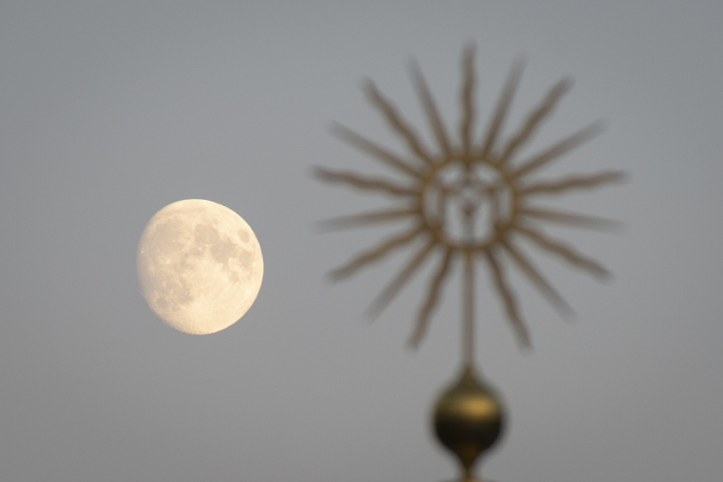    Фото: Jaap Фото: Arriens/ZUMAPRESS.com/Globallookpress