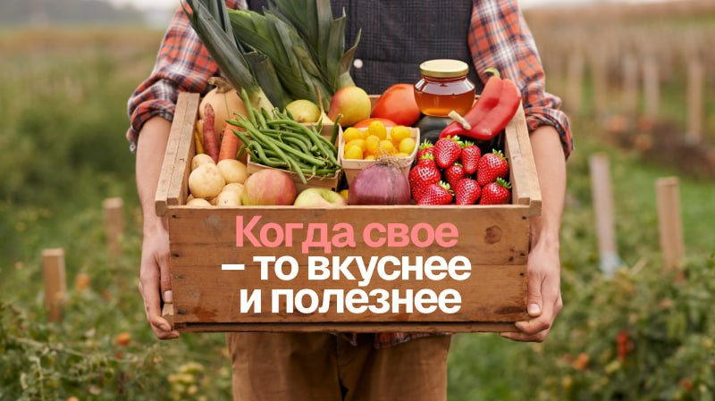 Согласны или нет? Пишите в комментариях