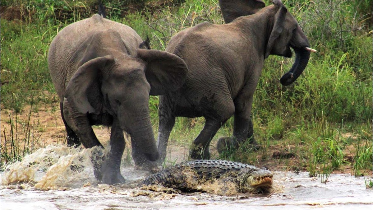 Фото взято из открытого источника Яндекс Картинки.