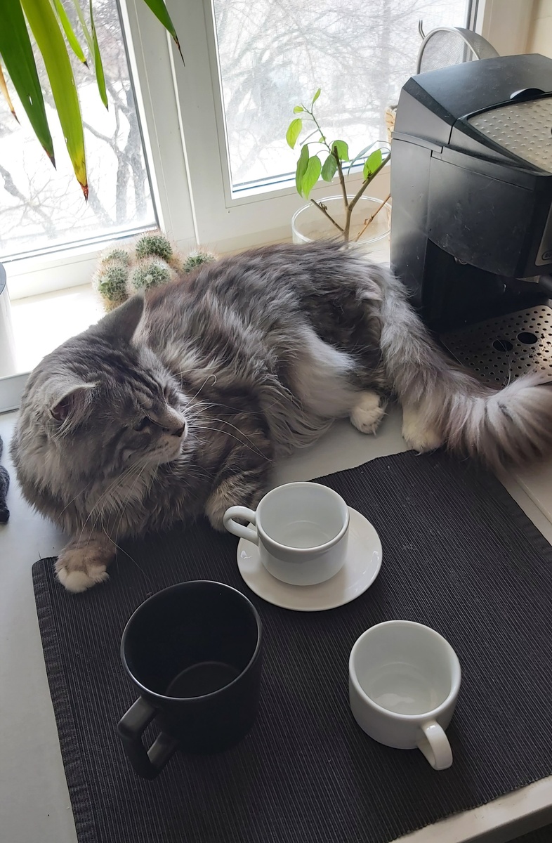 Наскучался)))