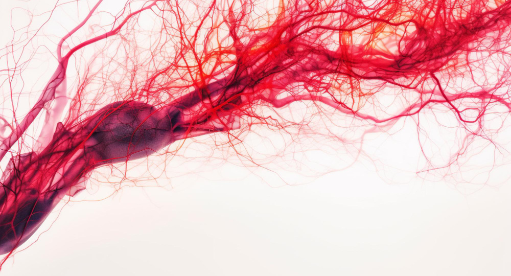 Что происходит с сосудами после отказа от курения?