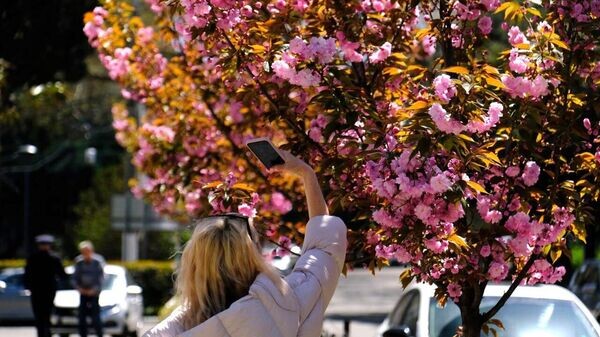    © Telegram-канал главы администрации Ялты Янины Павленко