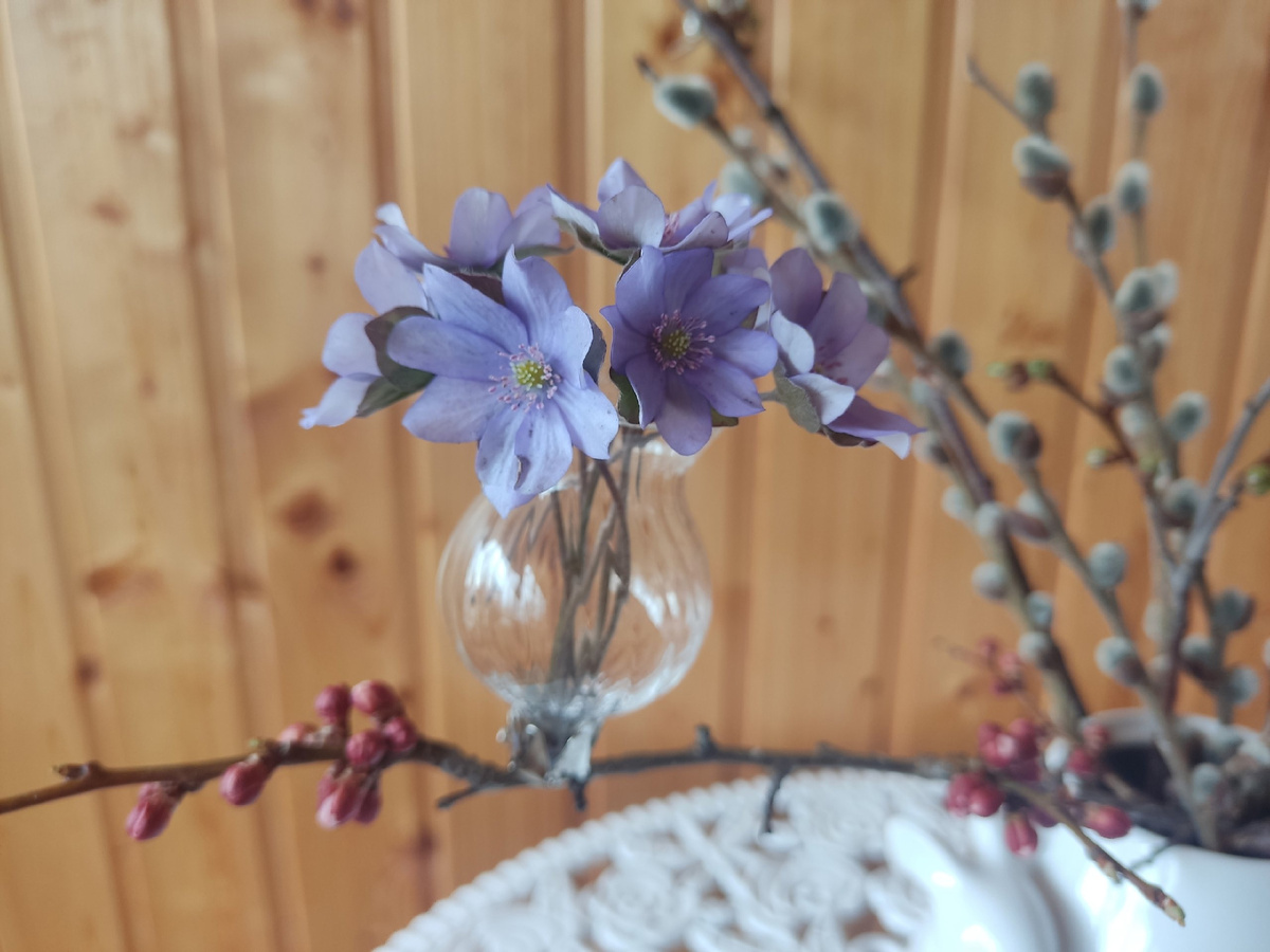 Ваза на прищепке