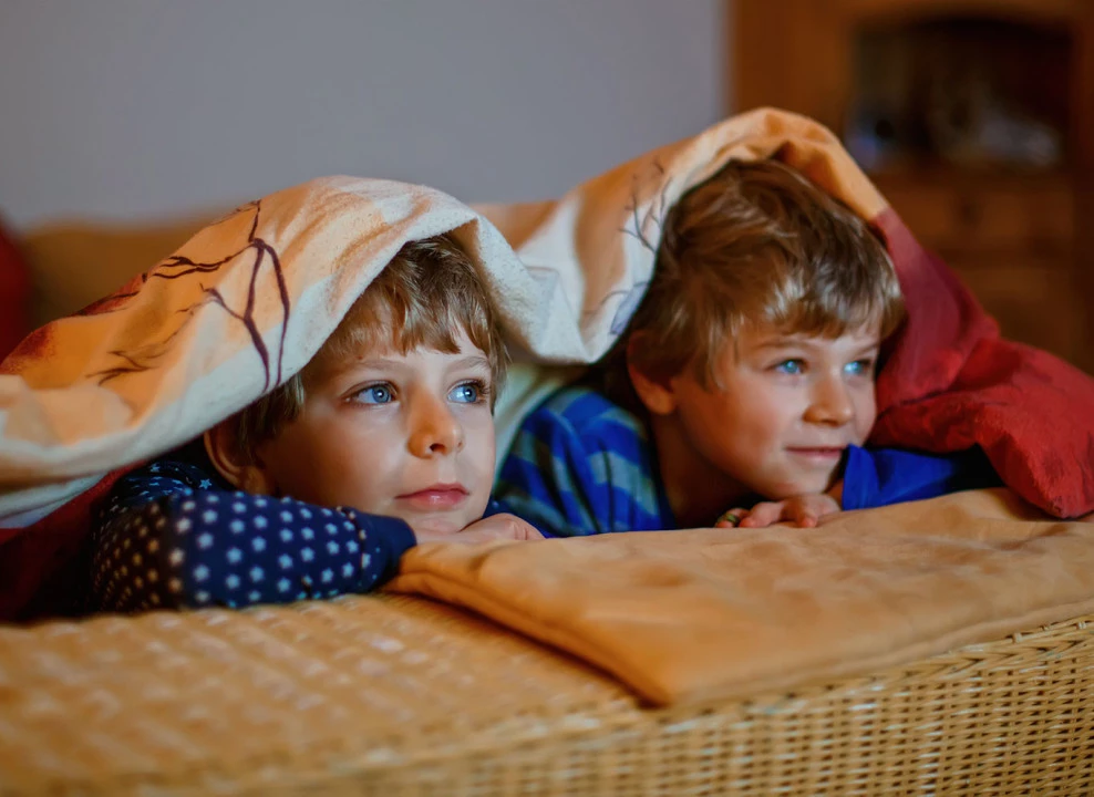 Фото: Irina WS | Shutterstock | Fotodom