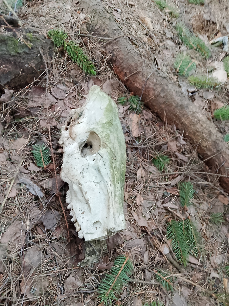 Зёпя (вместо з, будет ж)