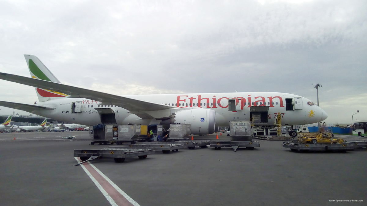 Пересадка в Эвфиопии