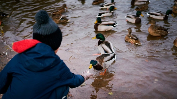 Фото: Valeria Selezneva / Shutterstock / FOTODOM