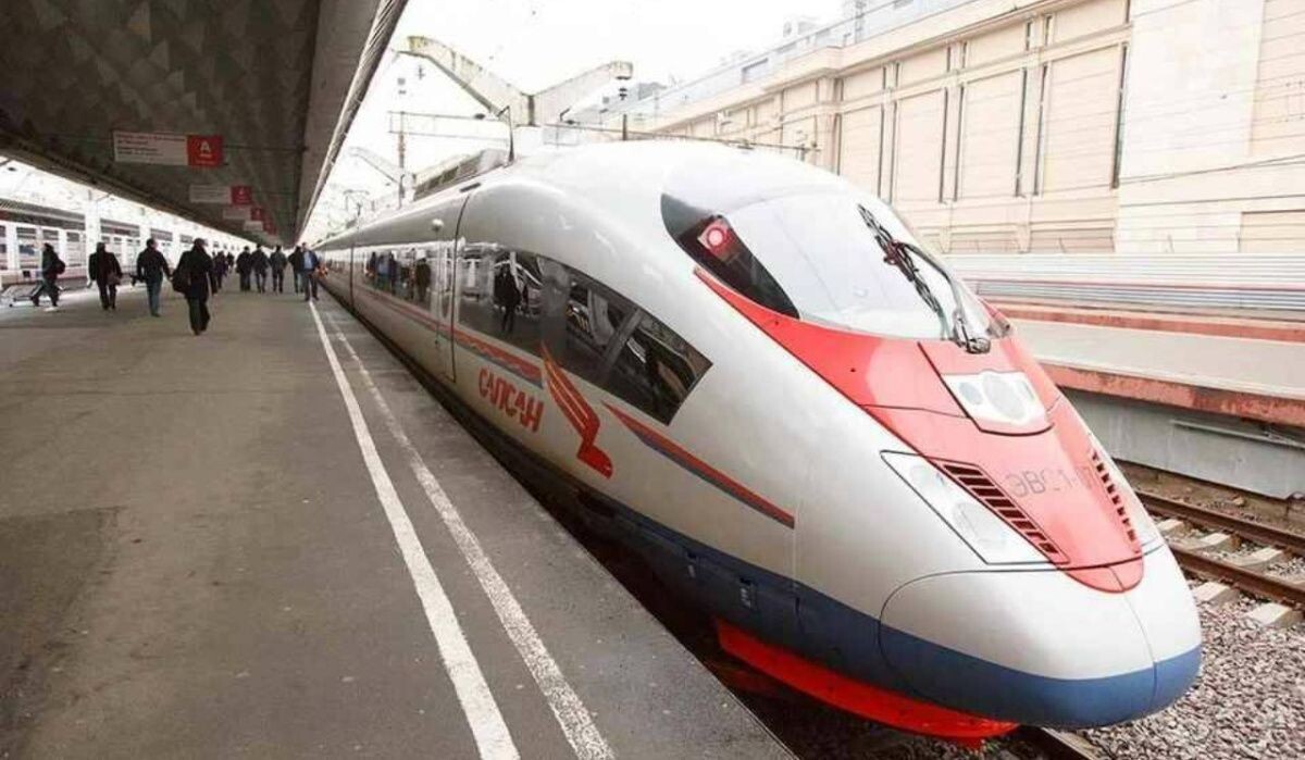     Сапсан. Источник: kp.ru Автор фото: Александр Глуз