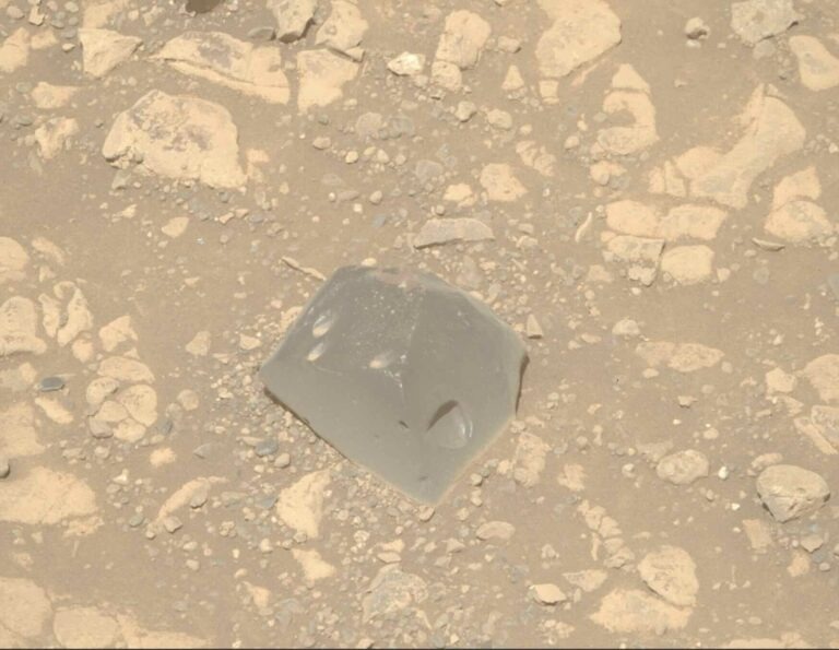     Камень Skull Hill, обнаруженный марсоходом Perseverance.    
 Источник: NASA / JPL-Caltech / ASU