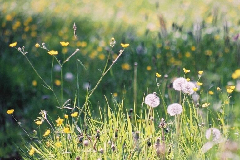    Фото: wiki Commons/Sudzie/CC BY-SA 4.0 Игорь Бережной