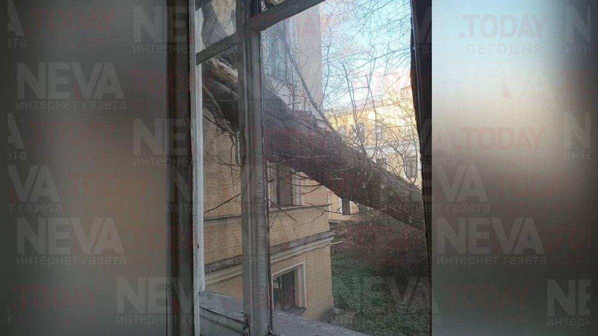    Фото: neva.today