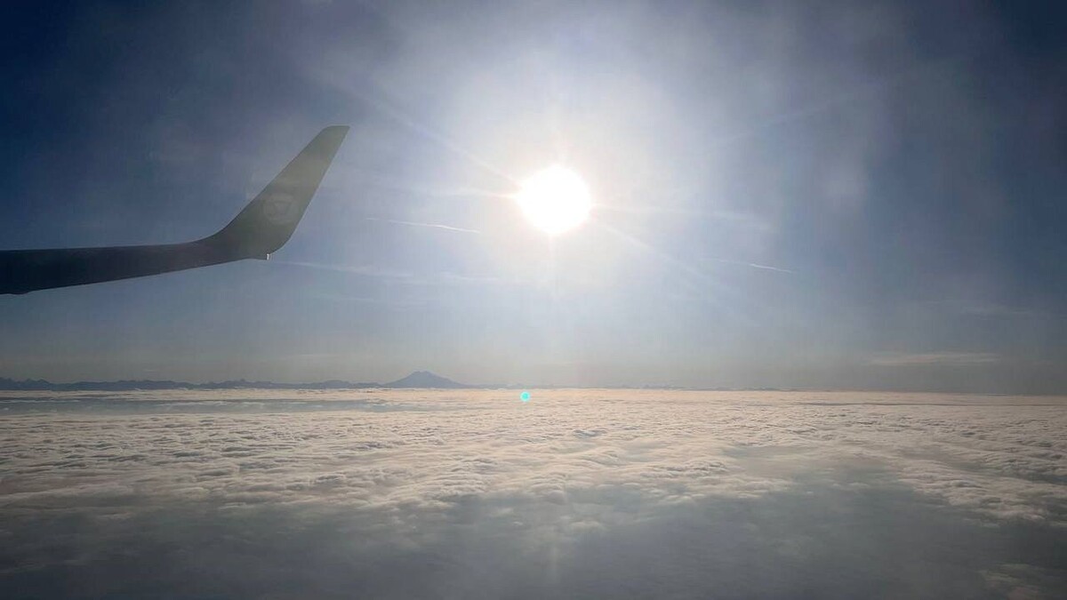    Фото: телеканал «Краснодар»