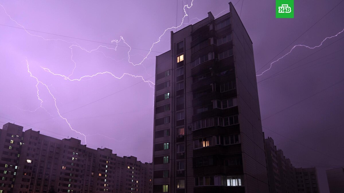    Фото: РИА Новости © 2025, Павел Бедняков