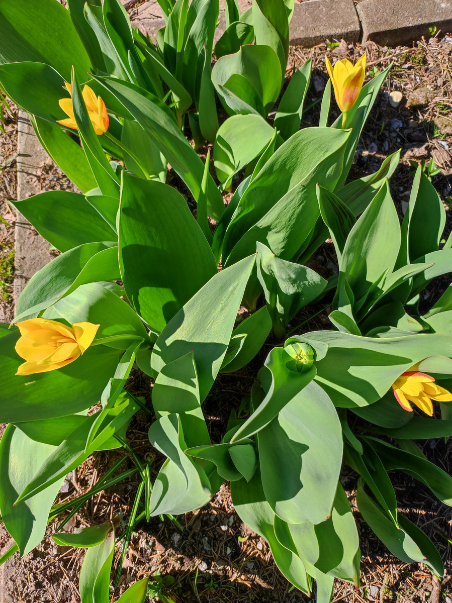 Фото автора канала