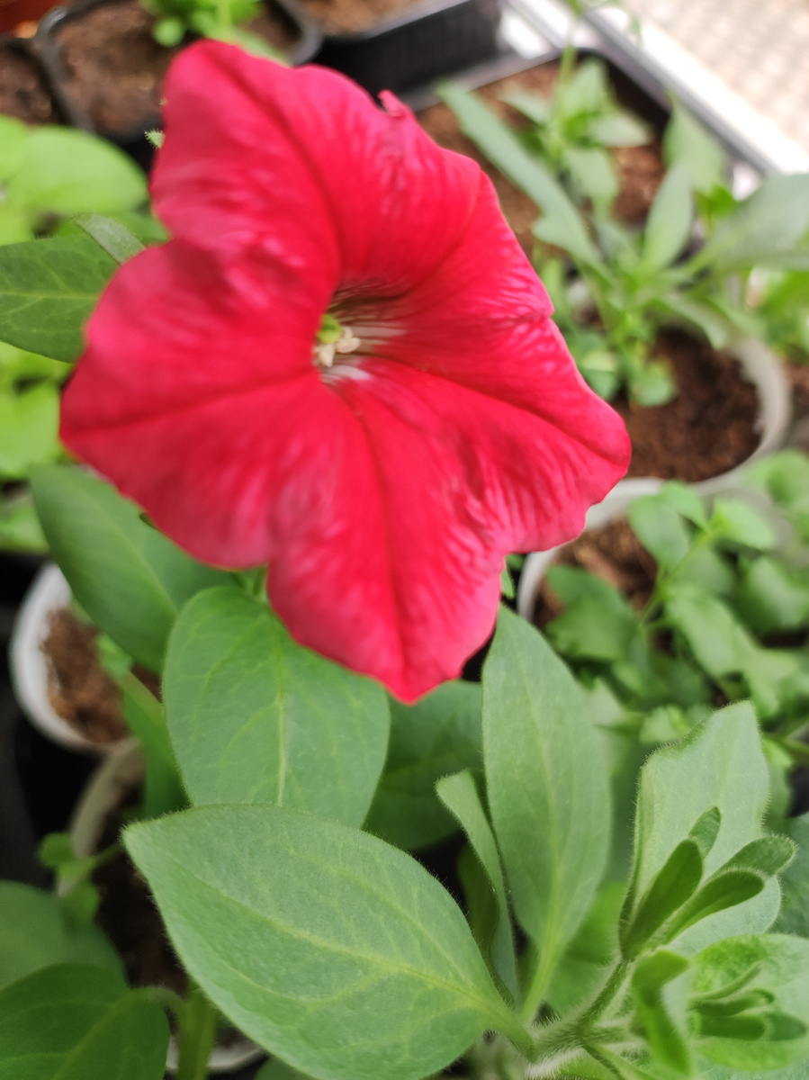 Фото автора канала