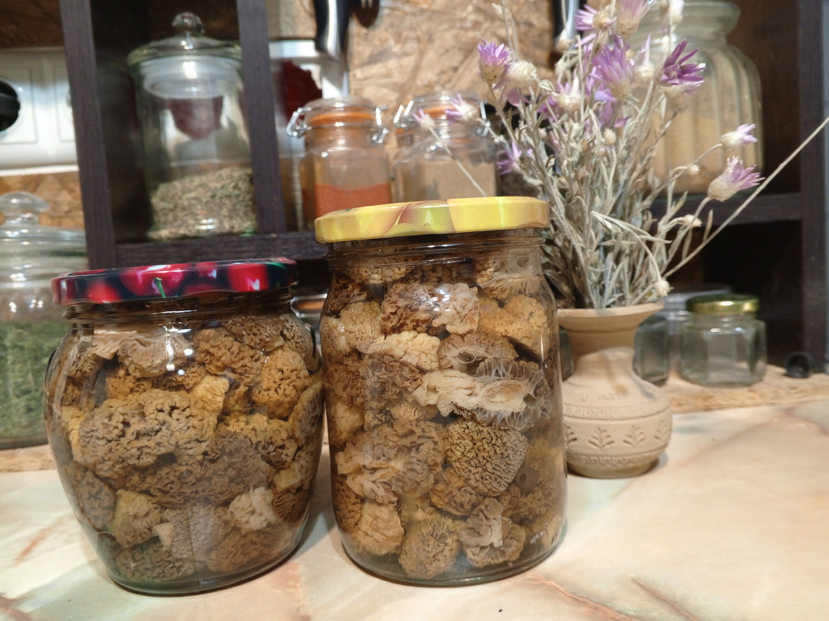 Фото авторов