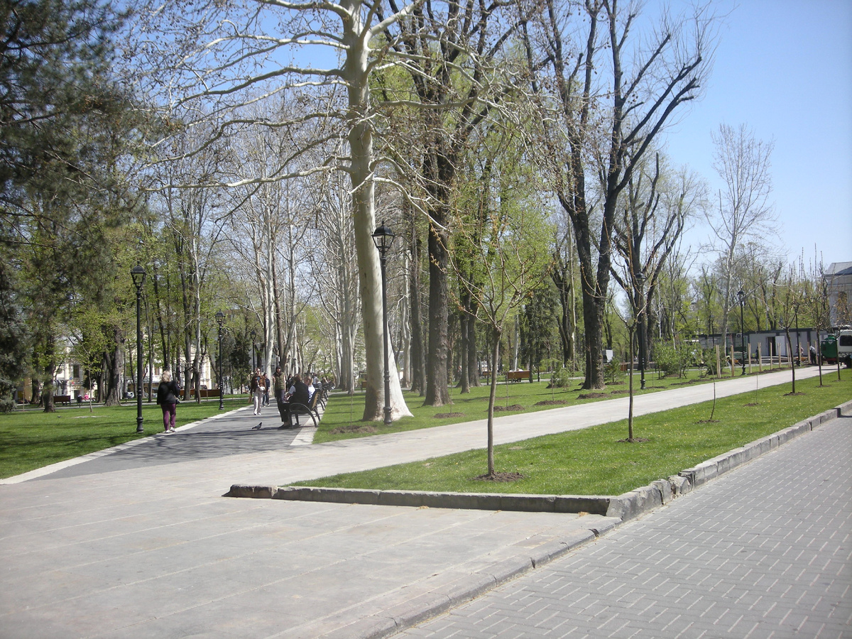 Фото автора