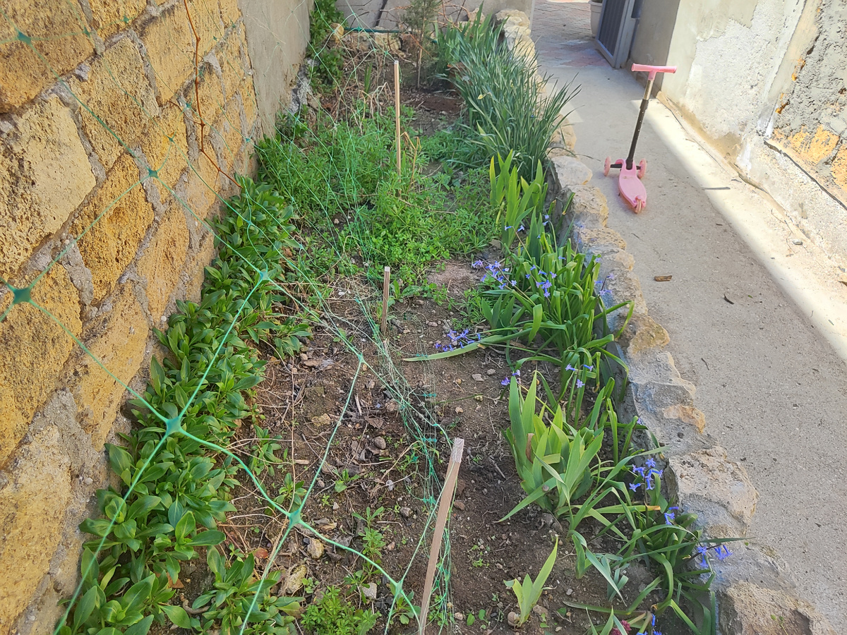 убираем грядку