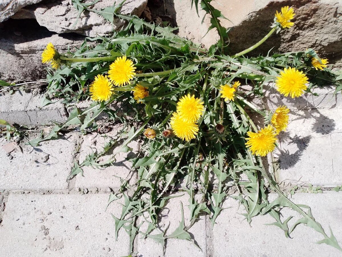 Фото автора.