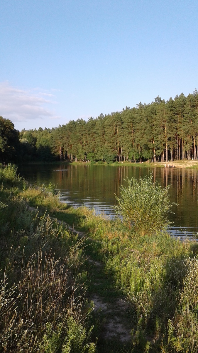 Место не то, но передает атмосферу.