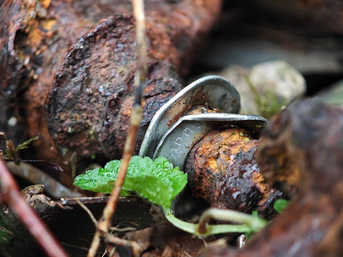 Фото: npsochi.ru