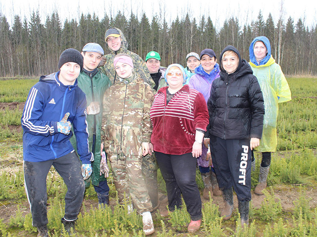 В Тверской области начнутся активные посадки леса