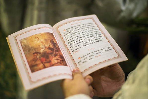 Источник изображения: tatmitropolia.ru