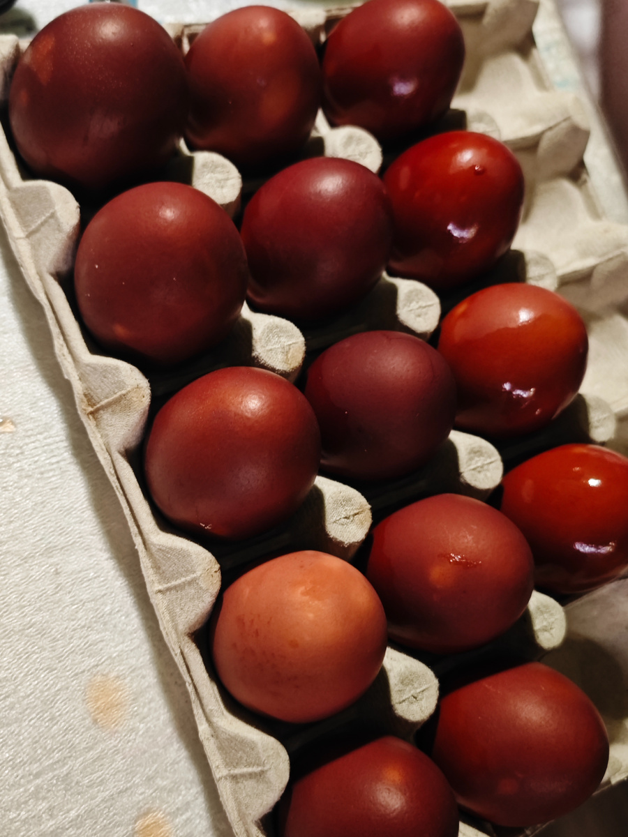 Фото автора канала 