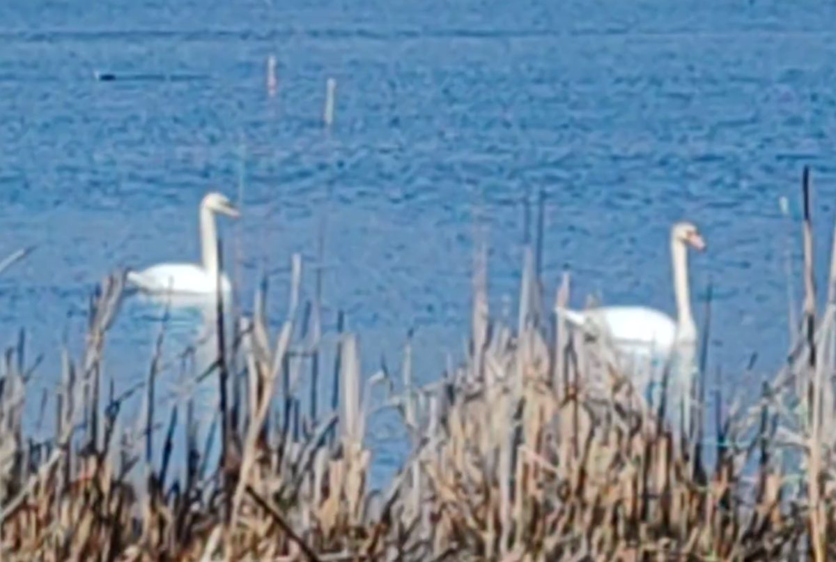 Фото автора канала. 