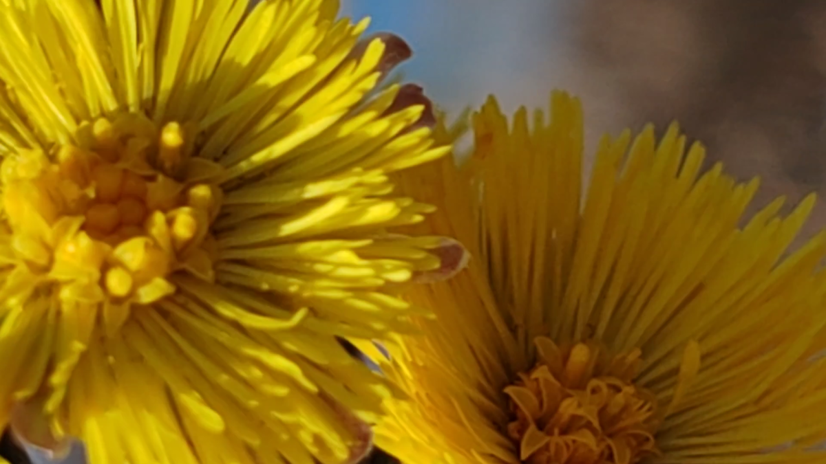 Фото автора канала. 