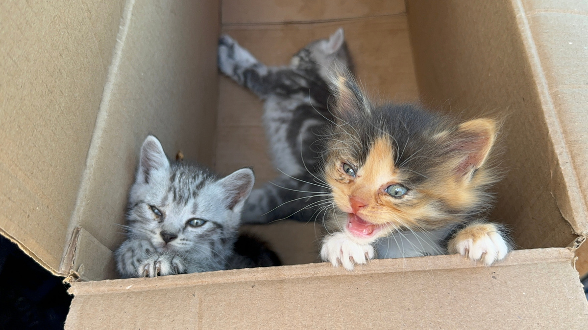 Фото из архива автора