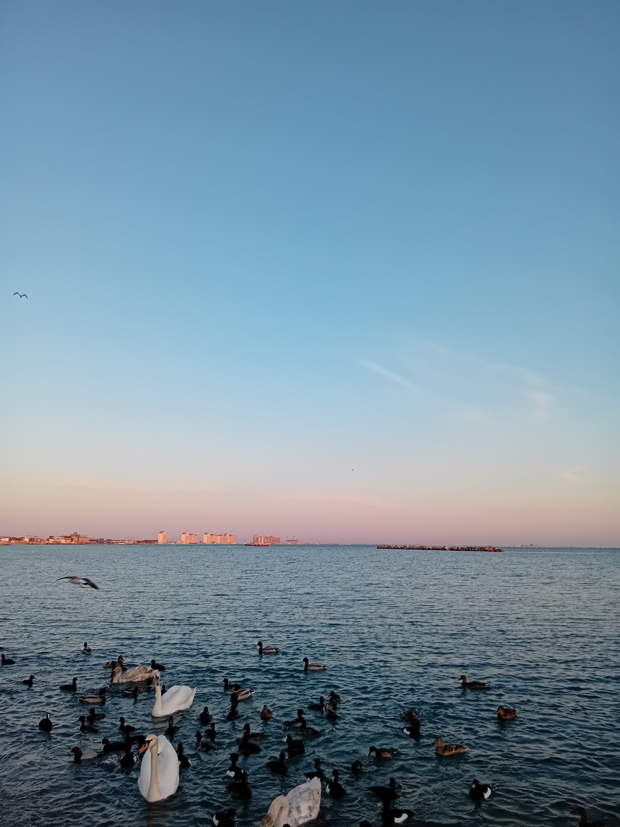 Авторское фото.