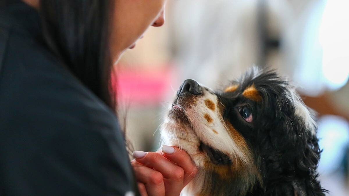    Фото: Сергей Ведяшкин / АГН Москва