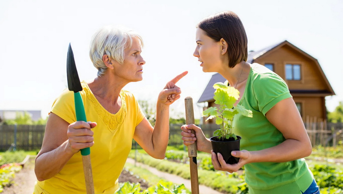 Дачный компромисс
