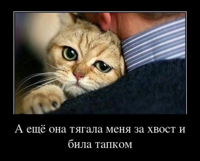 источник Яндекс-картинки