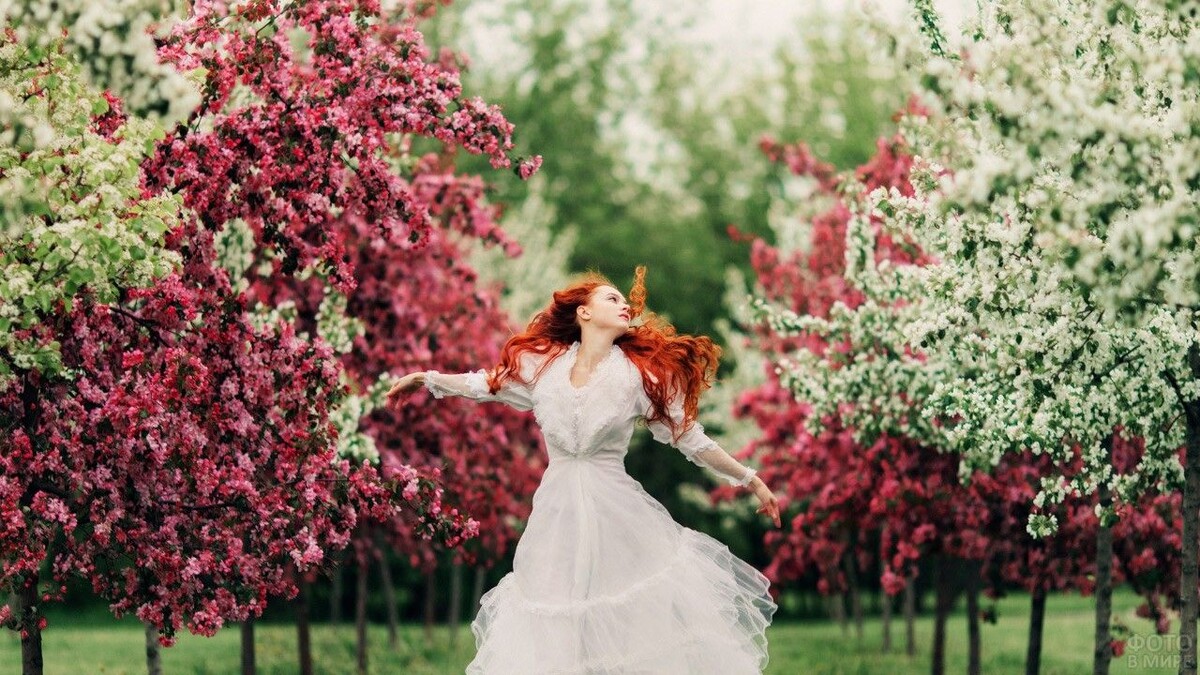 Яндекс Картинки