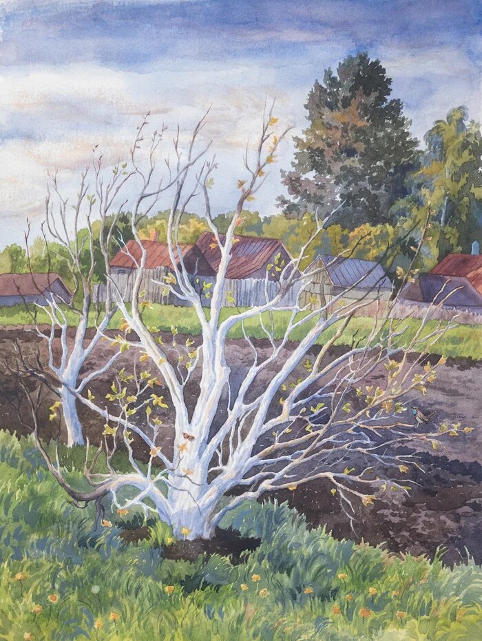 Деревенский пейзаж