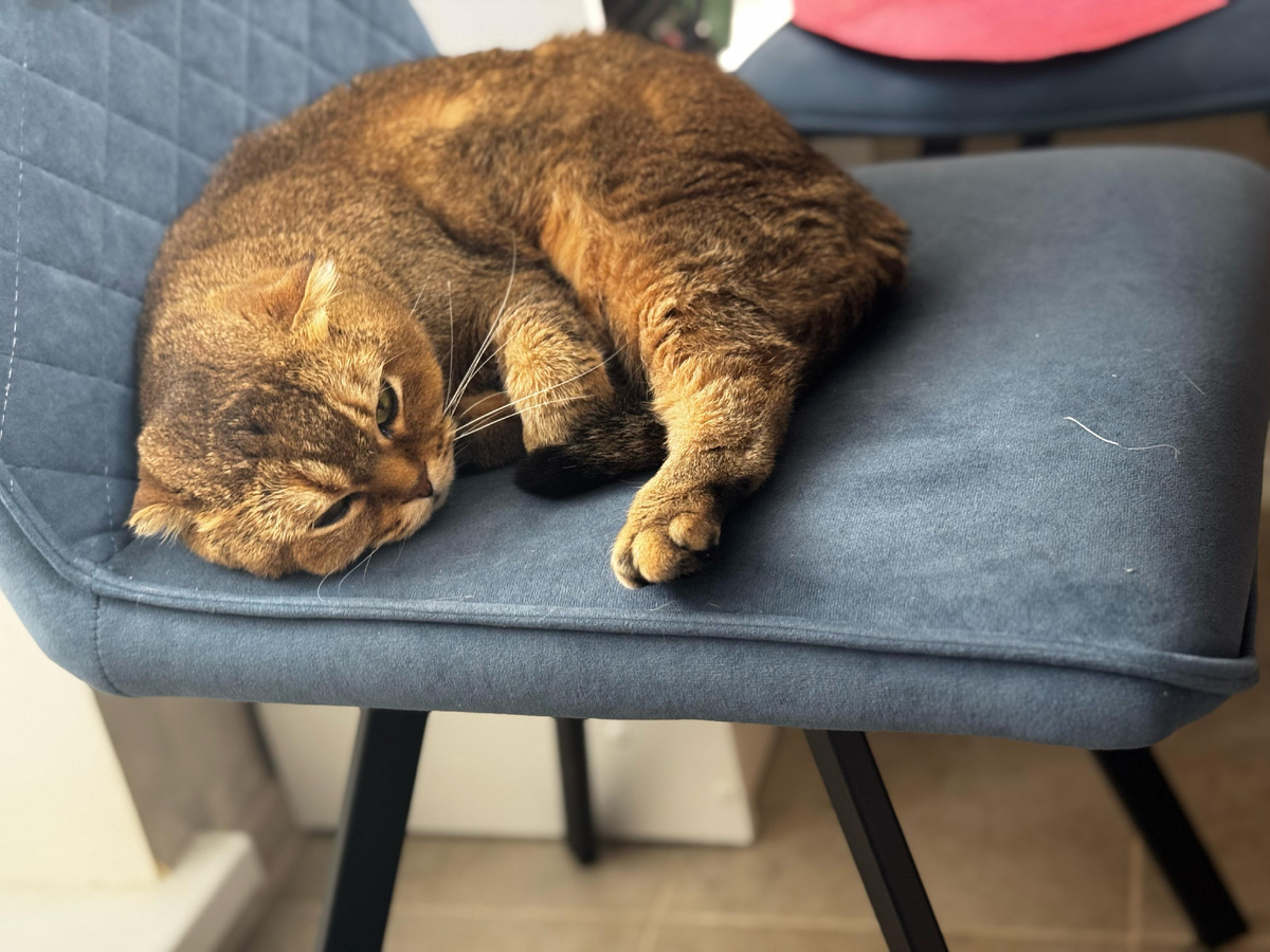 Мэй Ли (из личного архива)