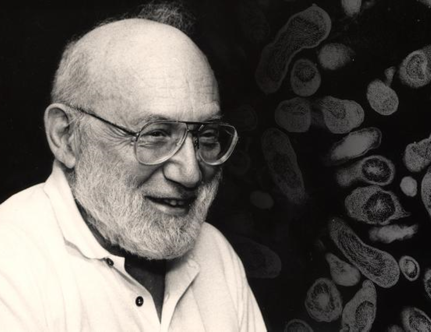 Джошуа Ледерберг.           Источник: https://inscience.news/ru/article/world-science/medicine/nobelevskie-laureaty-dzhoshua-lederberg