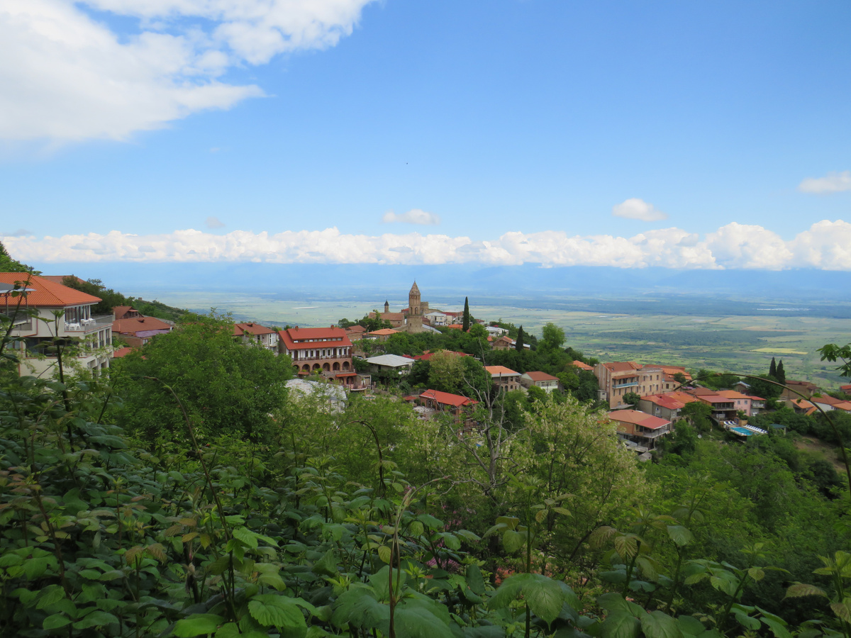 Город Сигнахи